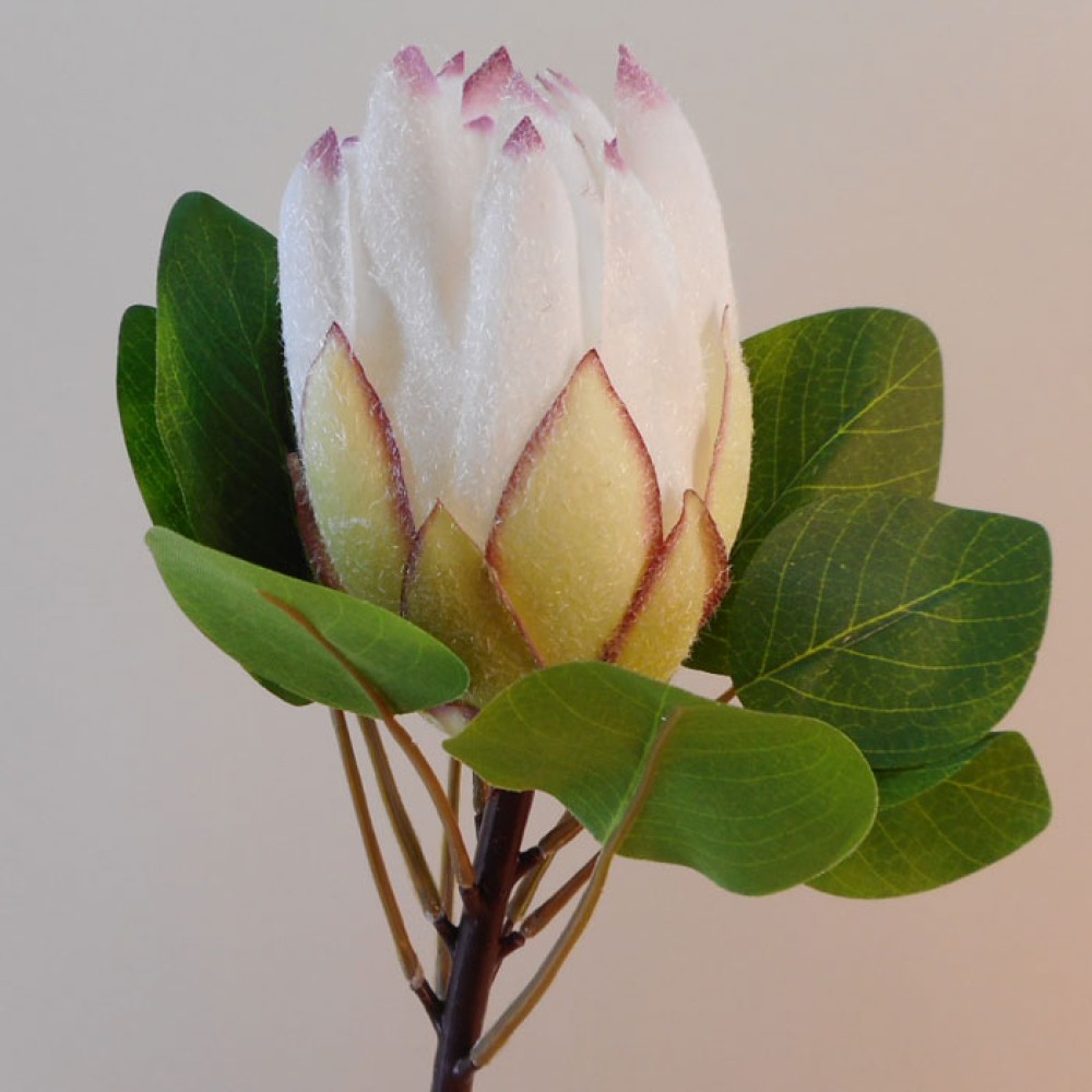 Artificial King Protea White 65cm Artificial Flowers